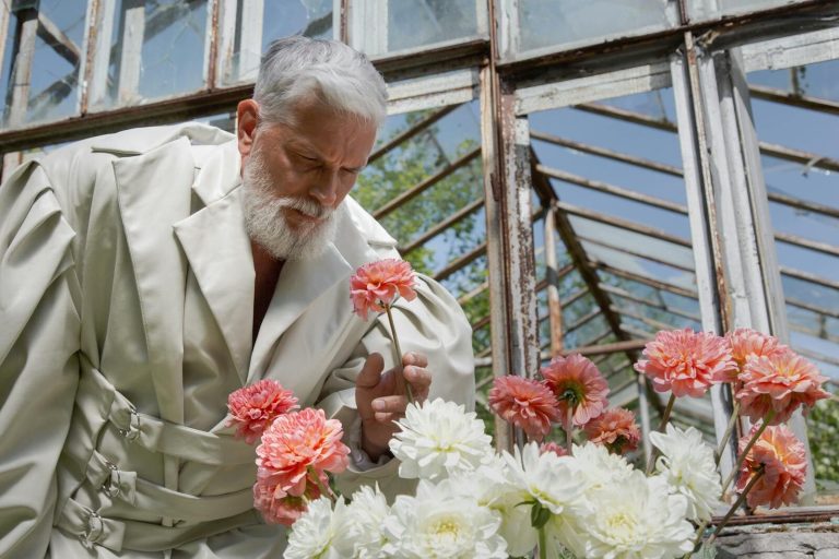 Senior man in a trench coat smells vibrant dahlias inside a rustic greenhouse.