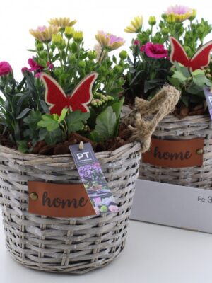 Kvetinové aranžmán v pletenom košíku s červeným motýlikom a nápisom "home
