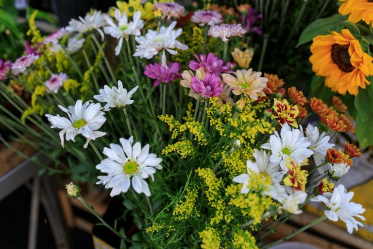 A vibrant bouquet of mixed fresh flowers showcasing daisies, chrysanthemums, and sunflowers.