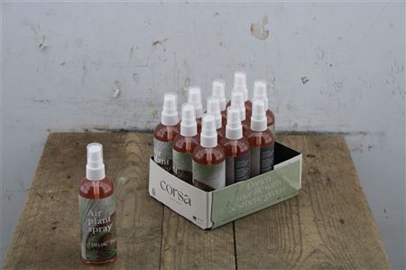 Fľaštička s osviežovačom Pl Tillandsia Spray