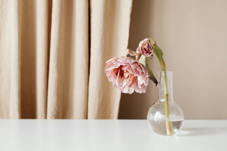 A minimalist still life of a pink flower in a glass vase on a white table with a soft beige curtain backdrop.