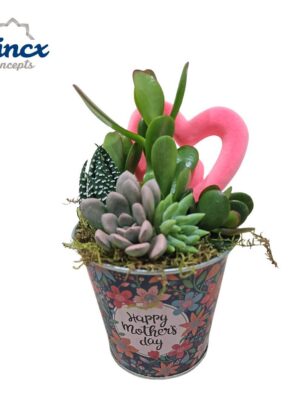 Aranžmán sukulentov v kvetináči s ružovým srdcom a nápisom Happy Mother's day