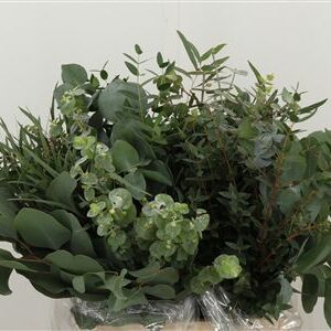 352880276_425807413_H_1-6 Dekoratívny listový mix Dec Bladmix s dĺžkou 45 cm