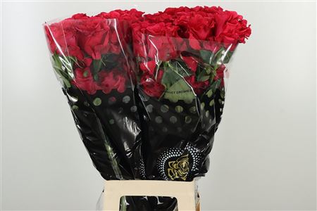 R Eq Exotic Berry