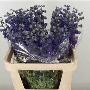 359642061_434309616_H_1-21 Raniak modrý Sweet Sensation Double 70 cm