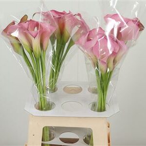 360120773_434919198_H_1-2 Zant Samur Pale Pink