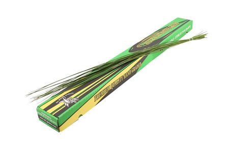 Dekoratívna tráva Steelgrass 120 cm