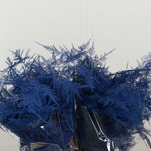 Asparagus Dyed Small Blue
