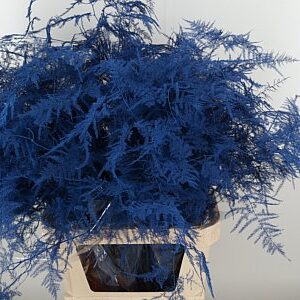 Asparagus Dyed Blue