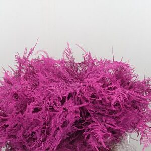 Asparagus Dyed Small Cerise