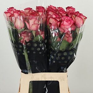 R Eq Carousell