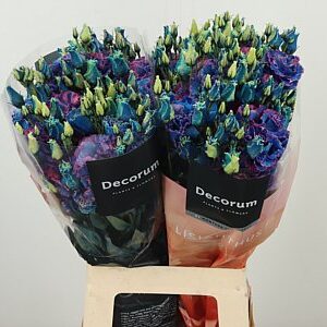 K4088_17667BUB_70_55_23_996_20_H_1-9 Eustoma Alissa Blue 60 cm