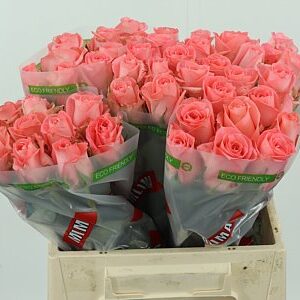 K97558_128638_40_H_1-3 R Gr Unicorn
