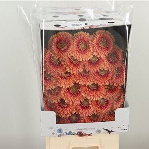 Gerbera Zenna M 50 cm