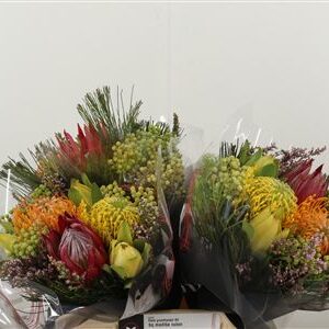 Protea Bqt Madiba Leuco 40 cm – produkt Uviažto