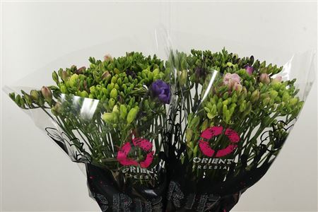 Frézia Mixed 52 cm Frézia Mixed 52 cm – produkt Uviažto