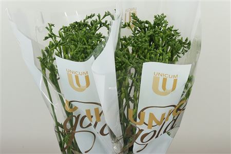 Frézia Diamond River 52 cm Frézia Diamond River 52 cm – produkt Uviažto