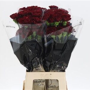 Dianthus Zurigo 65 cm – produkt Uviažto