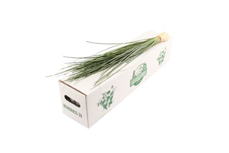 Beargrass 60 cm – produkt Uviažto