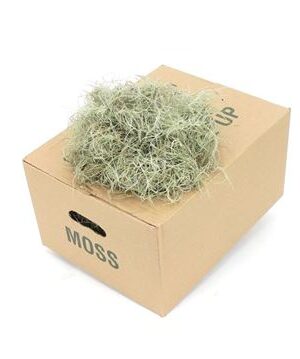 Mos Tillandsia Fine – produkt Uviažto