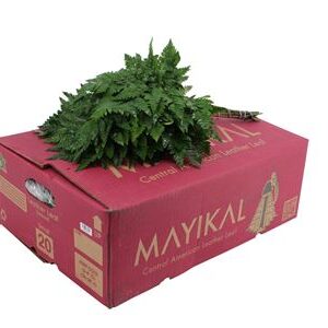Ledervaren Small 40 cm – produkt Uviažto