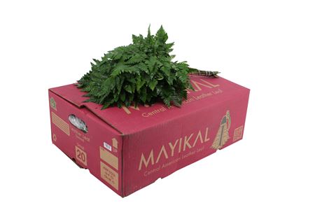 Ledervaren Small 40 cm Ledervaren Small 40 cm – produkt Uviažto