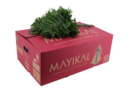 Ledervaren Medium 50 cm Ledervaren Medium 50 cm – produkt Uviažto