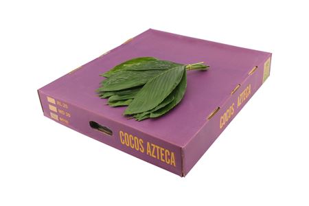 Cocos Small 30 cm – produkt Uviažto