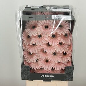 Gerbera Macaron 47 cm – produkt Uviažto
