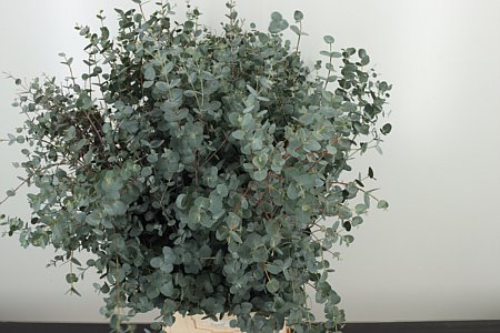 Gunny 70 cm Gunny 70 cm – produkt Uviažto