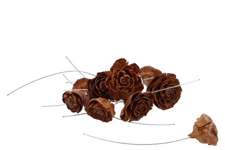 Dekoračný doplnok Pick Nature Plug Cedar Roses Naturel – prírodná, balenie 50 ks Dekoračný doplnok Pick Nature Plug Cedar Roses Naturel – prírodná, balenie 50 ks